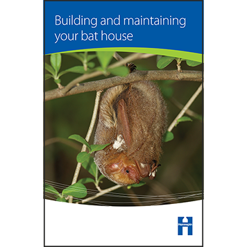 Building and maintaining your bat house thumbnail