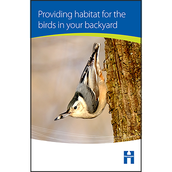 Providing habitat for the birds in your backyard thumbnail