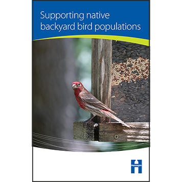 Supporting native backyard bird populations thumbnail