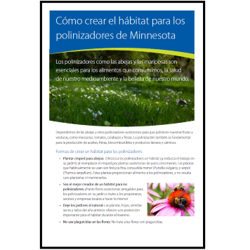 Create habitat for Minnesota pollinators: Spanish thumbnail