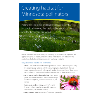 Creating habitat for Minnesota pollinators thumbnail